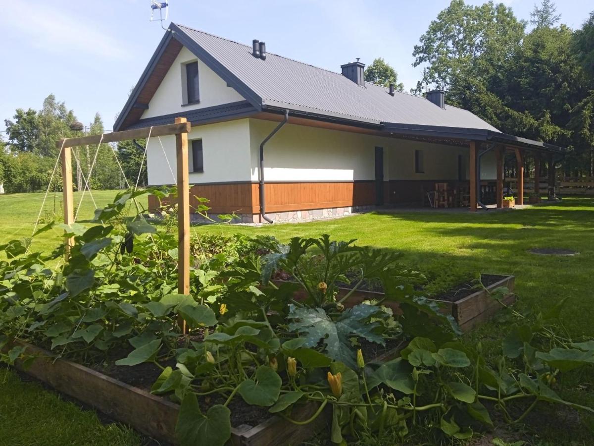 Apartament Siedlisko Czarny Dzięcioł Narewka Zewnętrze zdjęcie